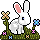 BUN07