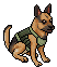 army15_dog_64_2_0