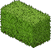 room_info15_shrub2