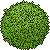 room_info15_shrub3