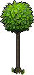 room_info15_tree1