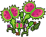 dino_c15_venusfly_64_2_0