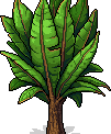 jungle_c16_plant