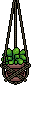 jungle_c16_pot