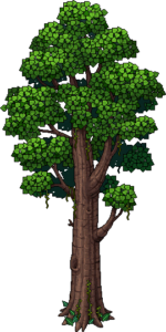 jungle_c16_tree