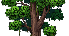 jungle_c16_tree