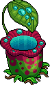 jungle_r16_pitcherplant