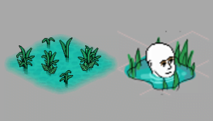 swamp1