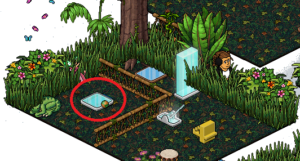 reporte4