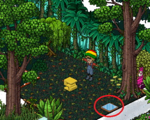 reporte5