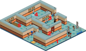 #B9W - PokéBaW Gimnasio Tokiwa