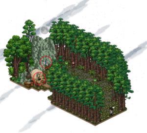 Bosque encantado